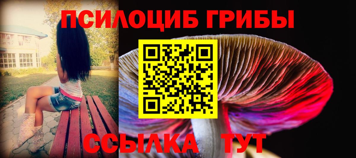Галлюциногенные грибы MAGIC MUSHROOMS Дербент